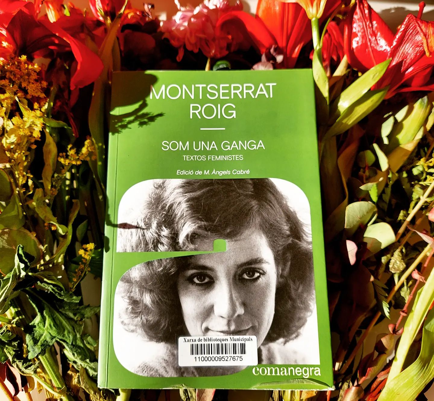 Montserrat Roig, <i>Som una ganga. Textos feministes</i>