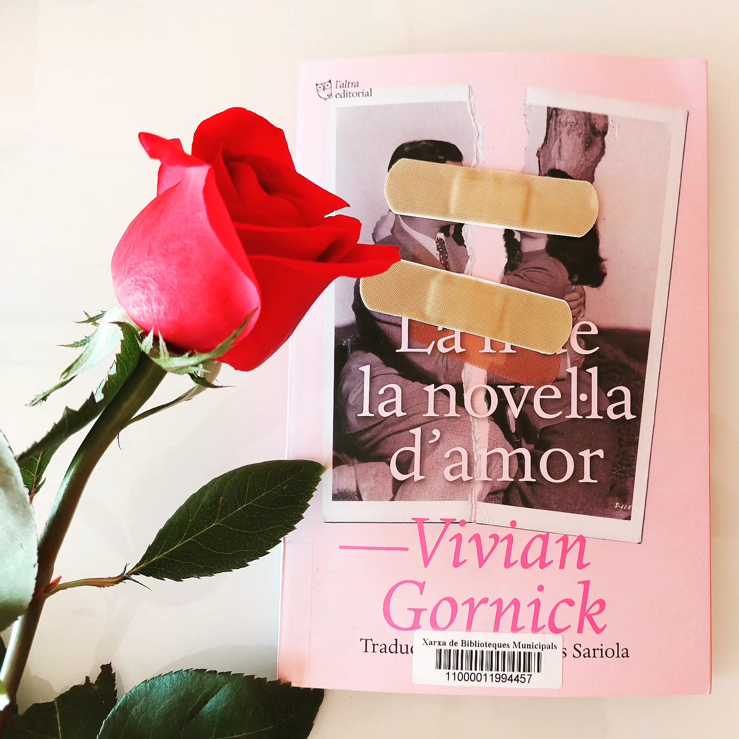 Vivian Gornick, <i>La fi de la novel·la d'amor</i>